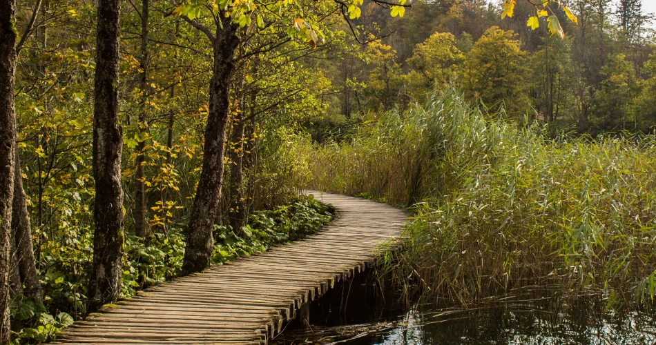 Ultimate Guide to Outdoor Activities in Burbank: Parks & Hiking